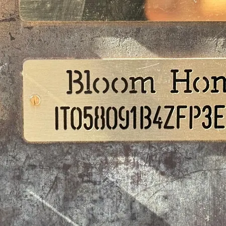 בית הארחה Bloom
